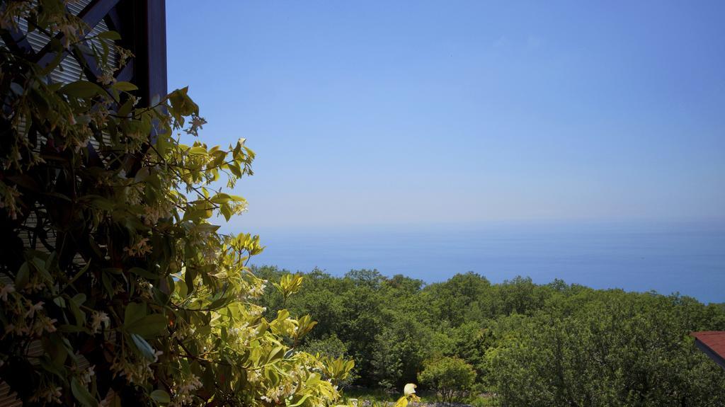 Apartmani Zona Sveti Stefan Bagian luar foto